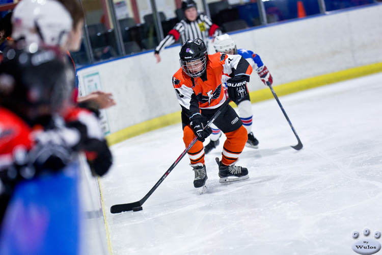 PeeWees_NorthStarsvFlyers_16Apr_0058