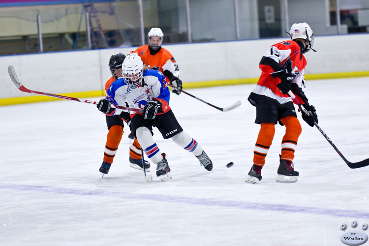 PeeWees_NorthStarsvFlyers_16Apr_0137