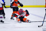 PeeWees_NorthStarsvFlyers_16Apr_0264