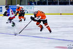 PeeWees_NorthStarsvFlyers_3Apr_0031