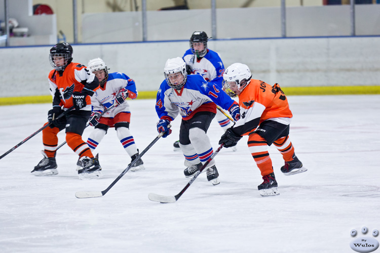 PeeWees_NorthStarsvFlyers_3Apr_0090