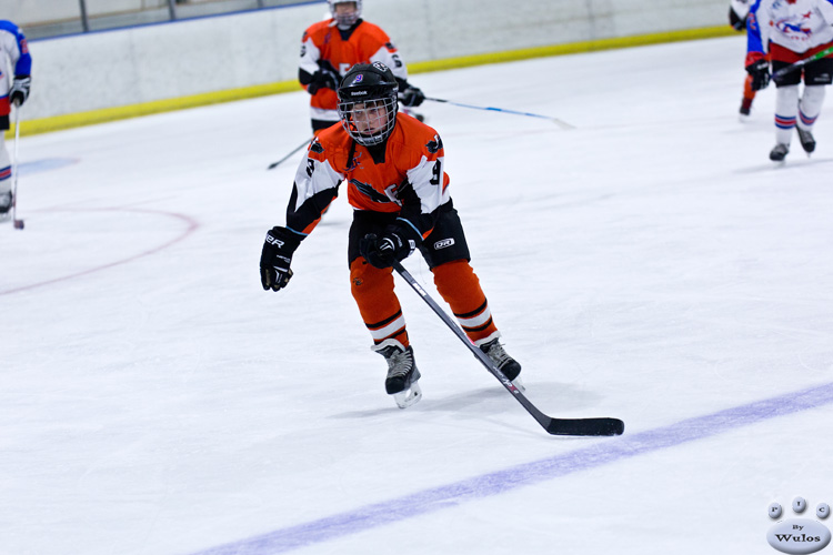 PeeWees_NorthStarsvFlyers_3Apr_0313