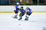 Peewees_SaintsvNorthStars_20Mar_0150