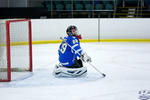 Peewees_SaintsvNorthStars_20Mar_0212