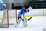 Peewees_SaintsvNorthStars_20Mar_0237
