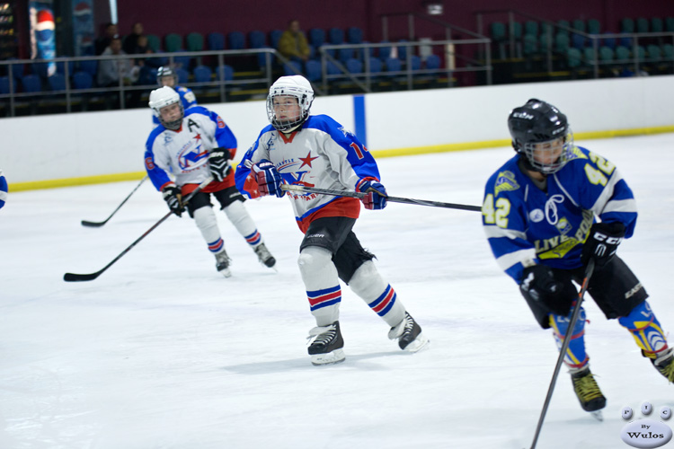 Peewees_SaintsvNorthStars_20Mar_0299