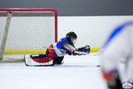 Peewees_SaintsvNorthStars_20Mar_0442