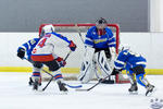 Peewees_SaintsvNorthStars_20Mar_0446
