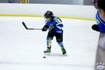Peewees_SaintsvNorthStars_20Mar_0493