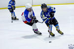 Peewees_SaintsvNorthStars_20Mar_0503