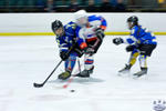 Peewees_SaintsvNorthStars_20Mar_0219