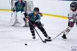 G24_PeeWees_BucaneersvPhoenix_0115