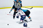 IceDogsvIce_30Apr_0600