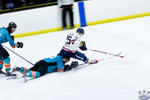 IceDogsvIce_30Apr_0713