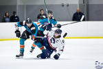 IceDogsvIce_30Apr_0273