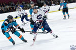 IceDogsvIce_30Apr_0355