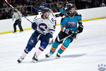 IceDogsvIce_30Apr_0381
