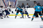 IceDogsvIce_30Apr_0379