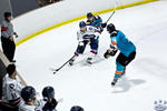 IceDogsvIce_30Apr_0549