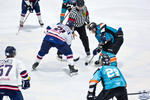 IceDogsvIce_30Apr_0734