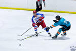 IceDogsvNorthStars_7May_0266