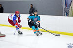 IceDogsvNorthStars_7May_0485