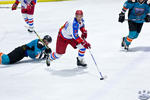 IceDogsvNorthStars_7May_0639