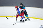IceDogsvNorthStars_7May_0641