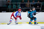 IceDogsvNorthstars_26Jun_0325