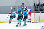 IceDogsvNorthstars_26Jun_0120