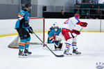 IceDogsvNorthstars_26Jun_0329