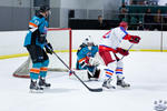 IceDogsvNorthstars_26Jun_0329