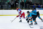 IceDogsvNorthstars_26Jun_0349