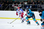 IceDogsvNorthstars_26Jun_0395