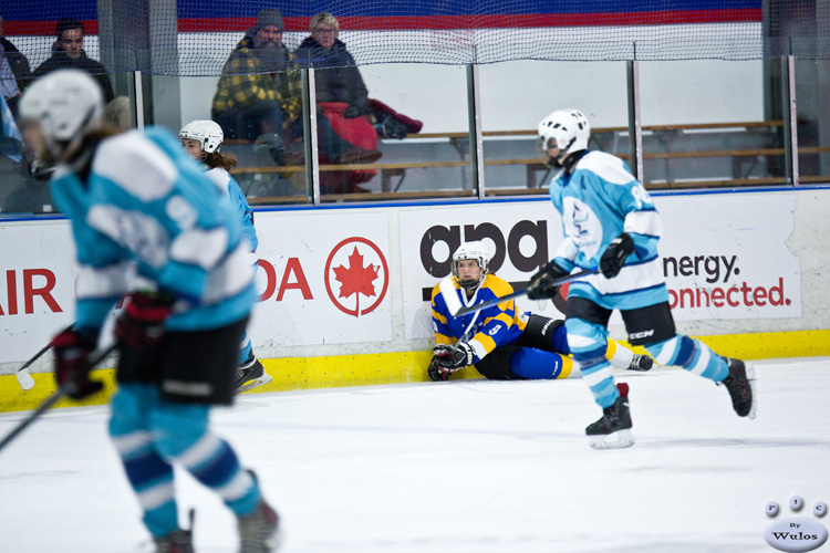 2016DeFris_G05_NSWvACT_0214