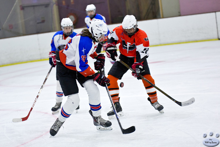 Bantams_FlyersvNorthstars_11Sep_0190