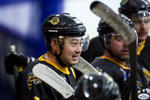 ECSL_NorthstarsvSting_18Sep_0581
