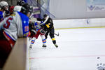 ECSL_NorthstarsvSting_18Sep_0212