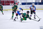 PeeWees_NorthstarsvEmperors_26Mar_0304