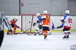 PeeWees_FlyersvNorthstars_22Apr_0212