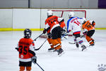 PeeWees_FlyersvNorthstars_22Apr_0382