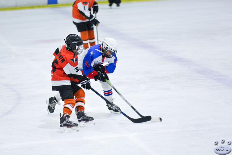 PeeWees_FlyersvNorthstars_22Apr_0407