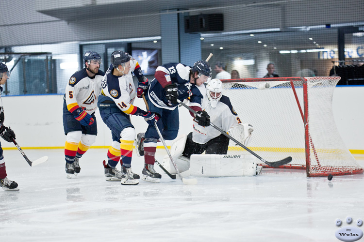 IceDogsvAdrenaline_13May_0356