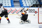 IceDogsvAdrenaline_13May_0703