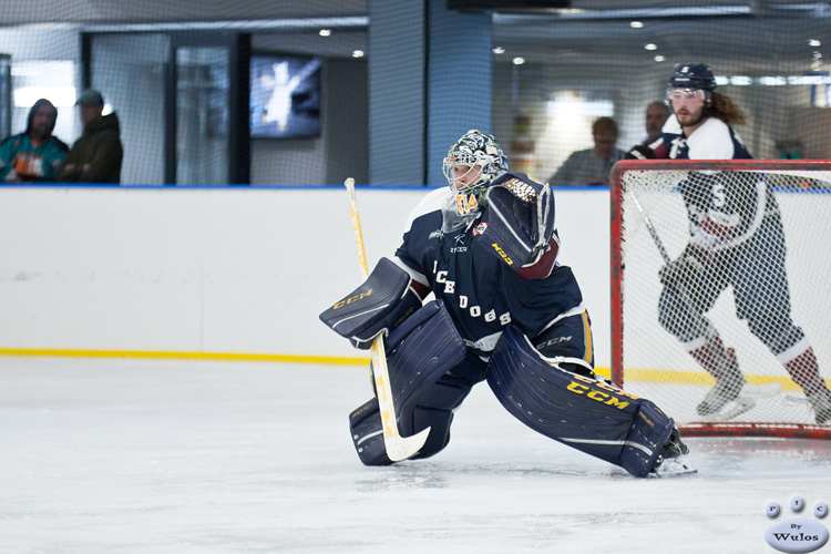 IceDogsvNorthstars_14May_0552