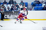 IceDogsvNorthstars_16Jun_0302