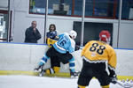 Bronze_WAvNSW_7Oct_0027