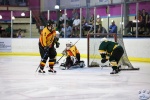 Game3_AUSvBEL_0393.jpg