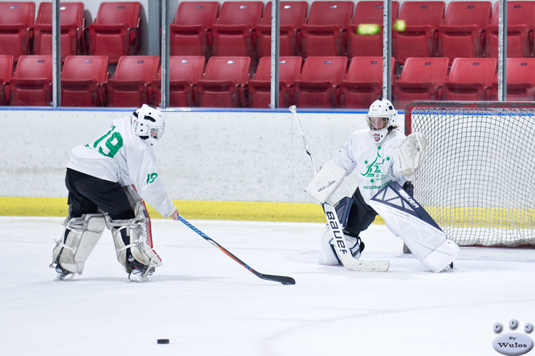 2018_IHA_PeeWee_NationalDevelopmentCamp_Day5_Goalies_0608