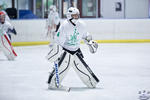 2018_IHA_PeeWee_NationalDevelopmentCamp_Day5_Goalies_0033